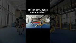 ИИ чат боты тупее котов и собак?