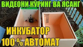 100% Автомат ИНКУБАТОР ЯСАШ УЙ ШАРОИТИДА | YUZ FOIZ AVTOMAT INKUBATOR YASASH SIRLARI