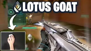 Lotus Might Be My Map...