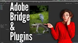 Using Adobe Bridge With PLUGINS