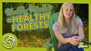 The Forest Products Marketplace