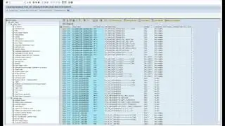 SAP Custom Development Management Cockpit - Clearing Analysis