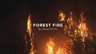 Forest Fire - Vol. 1 | VFX Stock Footage Elements by Visual FX Pro