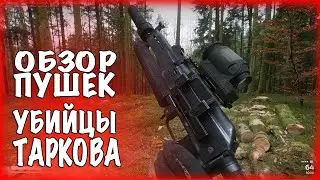Project L33T. Обзор пушек 