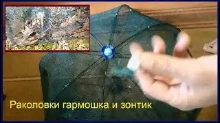 Раколовки гармошка и зонтик с АлиЭкспресс. 