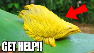 If You See This, STAY FAR AWAY AND GET HELP!!