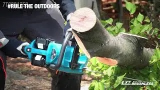 5 Best Cordless Chainsaws 2022