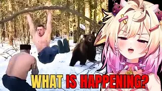I Have SO MANY QUESTIONS, WHAT IS HAPPENING?! Rosiebellmoo Reacts