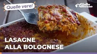 LASAGNE ALLA BOLOGNESE - Ricetta originale al 100%!