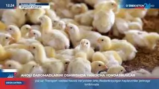 🟢 Урганч туманида “Сайҳунобод ва Уйчи тажрибаси”