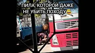 Пила, которой даже не убить походу 😅