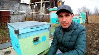 Клуб неправильно сформировался. Помощь пчёлам перед зимовкой