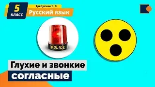 Русский язык 5 класс