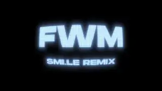 alan vuong - FWM (Smi.le remix)