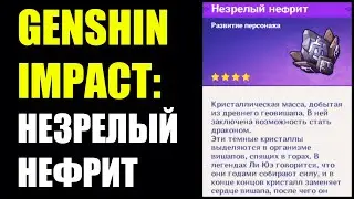 Genshin Impact: Незрелый нефрит. Где взять?