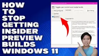 How To Stop Getting Insider Preview Builds in Windows 11 [Guide]