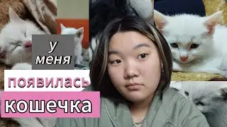 •Новый член семьи ✨•|• у меня появился котёнок 💗•|• нашли на улице котенка)