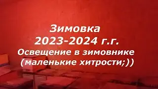 Зимовка 2023-2024 г.г. Освещение зимовника (маленькие хитрости;)) (18.02.2024)