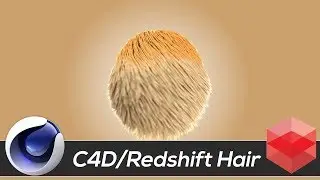 Hair Render in Redshift for Cinema 4D
