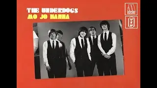 Motown Blue Eyed Soul  Dave Whitehouse - The Underdogs  Mo Jo Hanna Detroit Rock Bands