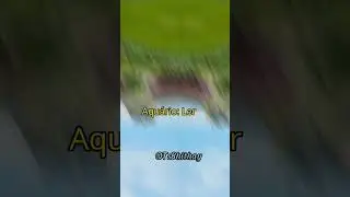 O que cada signo mais gosta Parte 1 - TsBhi thay