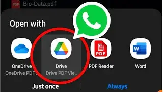 Whatsapp Pdf Not Opening In Google Drive Problem Solution
