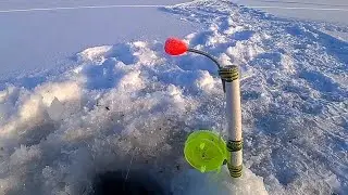 УТРЕННИЙ ВЫХОД ЛЕЩА! ЗИМНЯЯ РЫБАЛКА НА КОМБАЙНЫ 2023-2024.