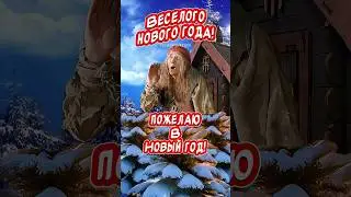 Прикольное поздравление С Новым годом! Весёлого Нового года! Счастья Вам!!! 