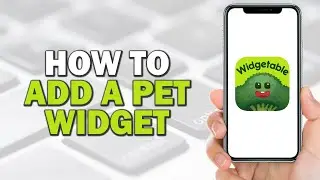 How To Add A Pet Widget In Widgetable (Easiest Way)​​​​​​​