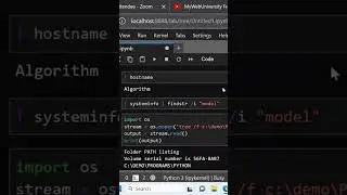 Python (Jupyter Lab) How To Get System Information and Resources Detail #shorts