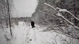 Не клюёт. Глухозимье. Река Пушма. Ноябрь 2021. Подосиновский район.