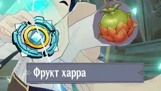 150 Фруктов Харра /Параметрический преобразователь