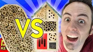 BEST BEE HOUSE? | Bee House VS Insect Hotel Review
