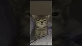 Why Baby? - Skittles (слив трека)