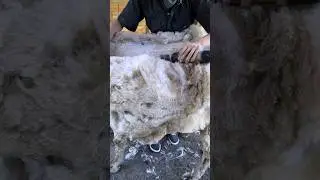 Sheet Of Satisfaction Pt. 1