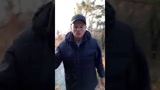 Тонус и мотивация