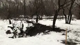 Если смотреть под ноги на Донбассе в Горловке-можно увидеть...ПРИЛЁТ