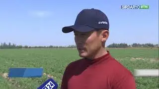 Фермер, деҳқон ҳўжаликлари ва томорқа ер эгаларини қўллаб-қувватлаш жамғармаси кредитлари ҳисобидан: