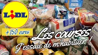 RETOUR DE COURSES LIDL ! Je modifies mes habitudes !