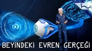 The Universe Inside The Brain - Ahmed Hulusi