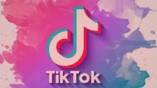 Os Destaques da Semana / Tiktok Brasil 🇧🇷