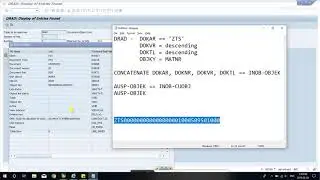 SAP + Material characteristics + Table trace