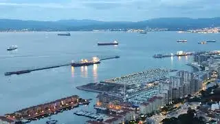 Monos en Gibraltar