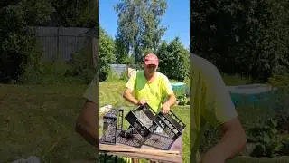 Самоделка приспособление сушилка для овощей своими руками 