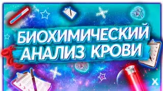 Расшифровка /  Биохимический анализ крови /АНАЛИЗ КРОВИ