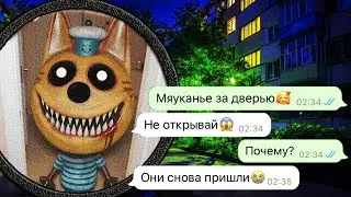 Три Кота хотят закончить начатое