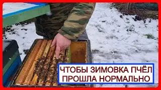 📘 Очень серьёзная ошибка при зимовке пчел на улице 2024 📘