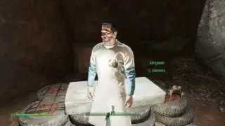 Fallout 4 