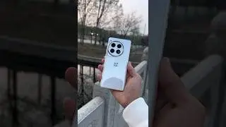 Oneplus 12 Zoom photography 