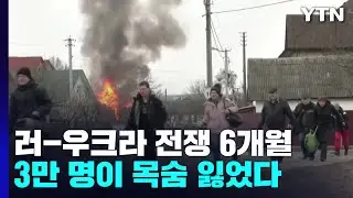 [더뉴스] 러시아, 우크라이나 침공 6개월...전황과 피해는? / YTN